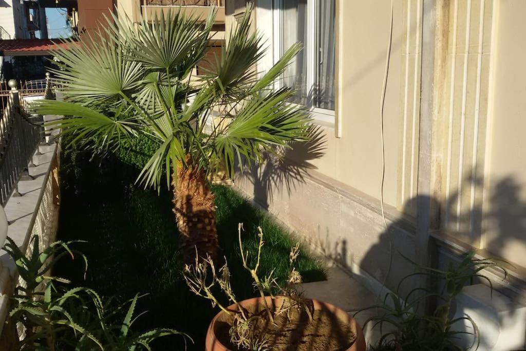 Appartement Sofaki